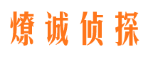 河口市调查公司